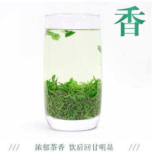 2026新茶叶明前高山云雾绿茶毛尖春茶日照充足散装自产浓香型散装 - 图0