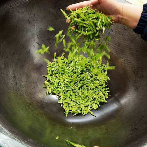 浙江龙井茶43品种碎茶片2026年新茶叶明前龙井茶工艺春茶散装500g - 图2