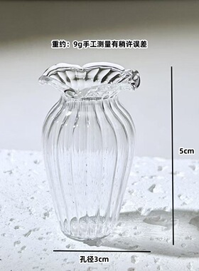 透明迷你小花瓶琉璃小瓶子插花容器花边造型桌面摆件DIY分装瓶