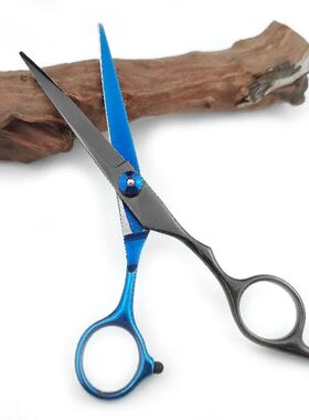 Professional Hairdressing Scissors Thinning Shears Hair Cutt