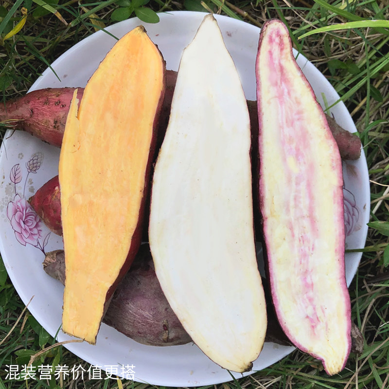 网红冰淇淋一点红新鲜爆皮王番薯 享康食品番薯