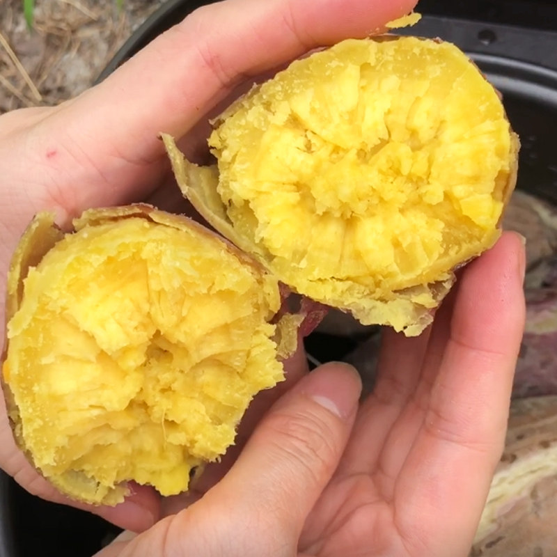 网红冰淇淋一点红新鲜爆皮王番薯 享康食品番薯