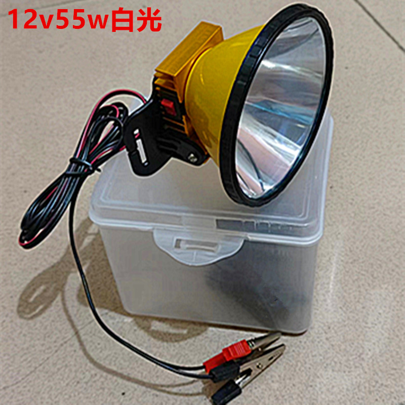 12v led头灯黄光强光外接电瓶12v55w头戴式超亮大功率白光大光圈 - 图0