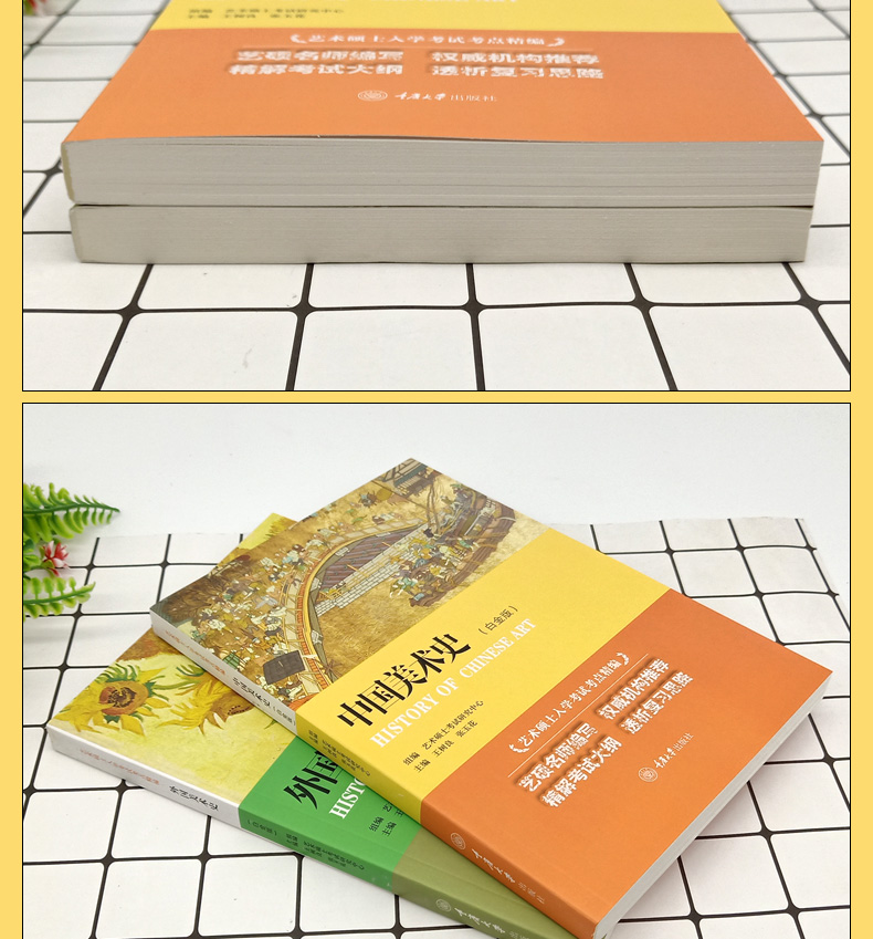 全2册】中国美术史+外国美术史白金版王树良艺术硕士入学考试考点精编考研教材初学艺术学概论入门教材书精解考试大纲考研复习-图2