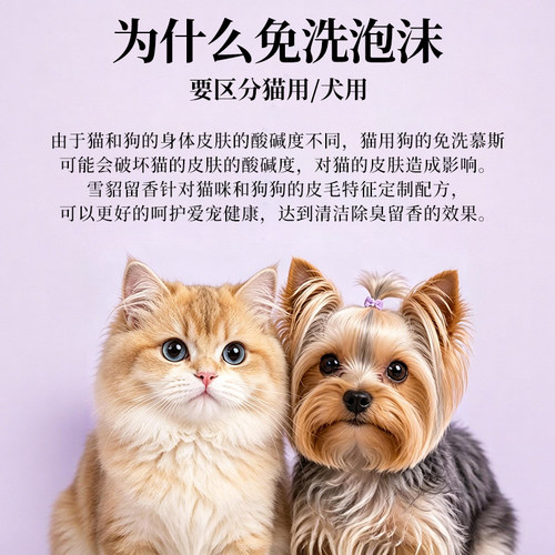 雪貂宠物干洗泡沫免洗狗狗猫咪幼犬兔子干洗粉免洗沐浴露慕斯 - 图3