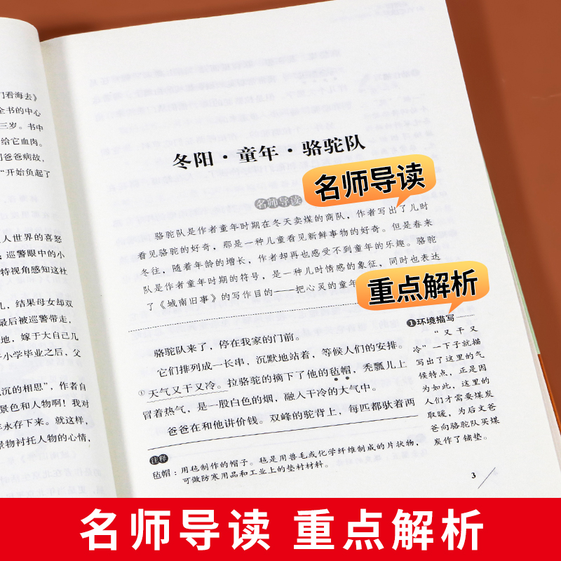 五年级下册课外书必读的课外阅读书籍小兵张嘎徐光耀完整版儒林外史正版原著小学生版骆驼祥子老舍呼兰河传萧红著城南旧事老师推荐 - 图2