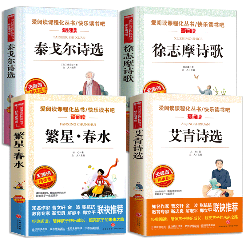 小学生现代诗集大全四年级下册中国现代诗歌精选儿童繁星春水冰心泰戈尔徐志摩艾青诗选四五年级阅读课外书籍必读老师推荐普及读本 - 图3