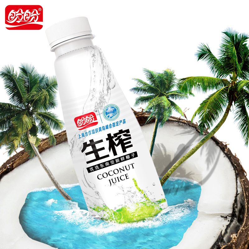 盼盼正宗生榨椰子汁新鲜进口鲜榨椰奶植物蛋白饮料整箱500ml*15瓶 - 图0