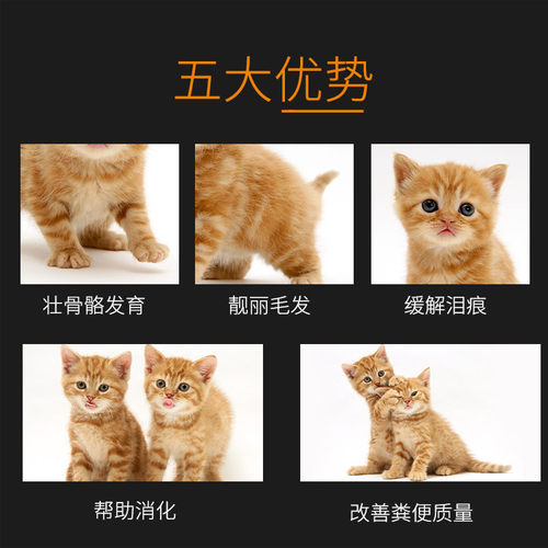 宠爱吖幼猫猫粮包邮成猫英短小猫咪专用猫食试吃装主粮1.5公斤 - 图1