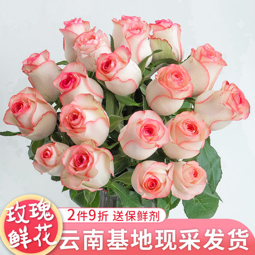 玫瑰鲜花云南基地直发真鲜切花室内香槟洛神插瓶水养花束同城速递 - 图0
