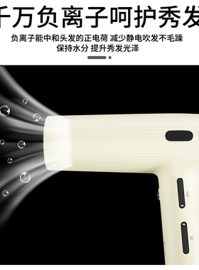 正品鹰堡赫旋600吹风机