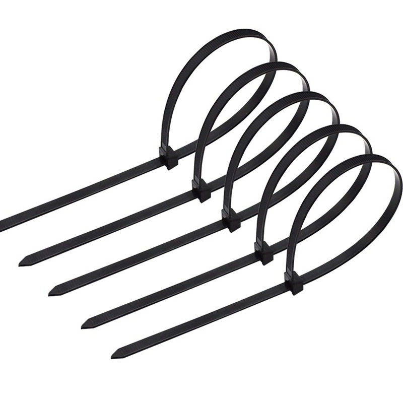 自锁式尼龙扎带 10/15/20cm厘米固定束带绑100根/包 满19元包邮,淘宝优惠券,粉丝福利购,淘宝优惠卷