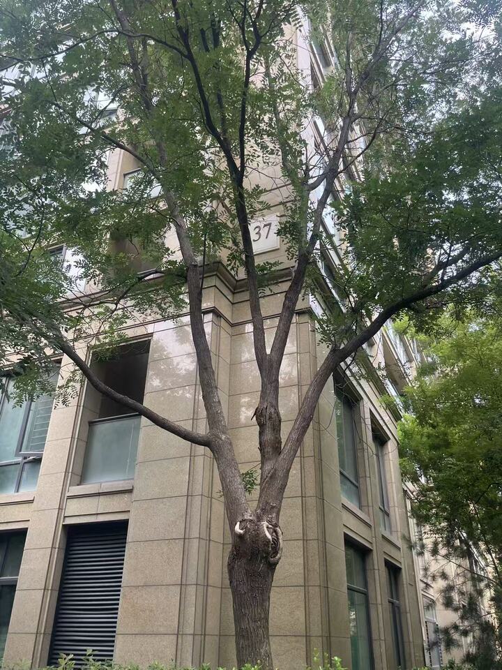 济南市历下区中林路77号百合花园37号楼3-102 - 图2