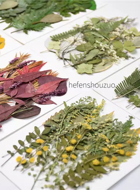 干花植物标本幼儿园手工材