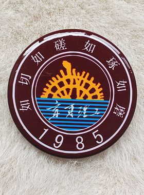 宁夏北方民族医科大学新华师范能源科技理工学院校徽标识徽章胸针
