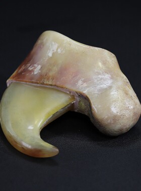 旧藏珍品大猫爪 爪子纹理清晰 骨纹血丝颗颗饱满清晰 皮壳老旧珍