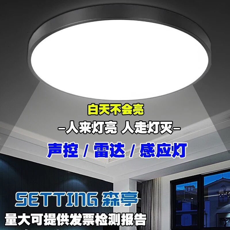 LED声光控吸顶灯过道走廊车库楼梯台阶灯 声控智能雷达人体感应灯 - 图2