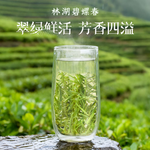 川红2026新茶四川特级林湖雀舌碧螺春明前新茶高山绿茶组合60g*2 - 图3