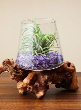 办公室玻璃生态花瓶微景观杯水培植物花器干花透明容器居家花卉罐