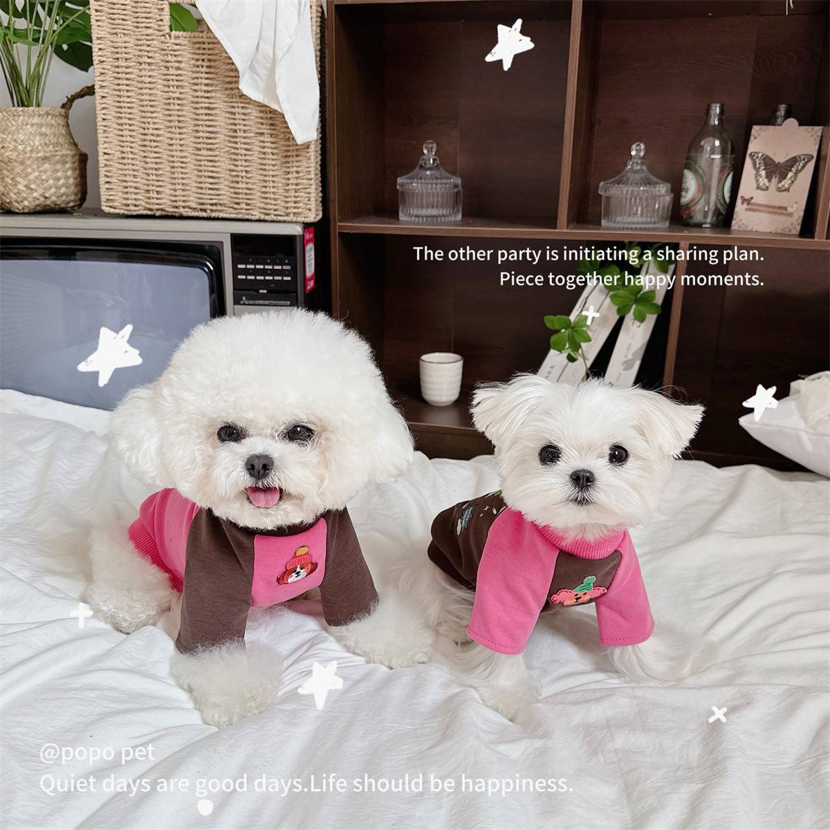 复古撞色圆领卫衣!潮流拼接卡通涂鸦 春秋宠物衣服猫咪狗狗套头衫,淘宝优惠券,粉丝福利购,淘宝优惠卷