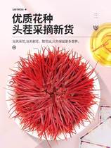 Iranian import of saffron official flagship store Non-special level Tibet Saffrons Efficacy Gift Box Raised tea