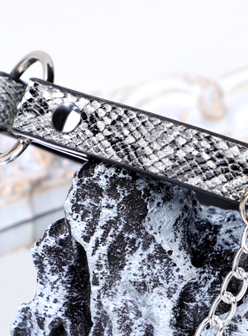 小众蛇皮纹项圈个性PU项链