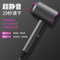 Electric Hair Dryer Home Dorm Room With Student Muted Hair Care Negative Ion Male Lady Special Large Wind Wind Cylinder Speed Dry