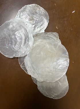 天然贝壳云母贝5-9CM左右海月贝透明贝壳家居装饰签名婚礼捧花