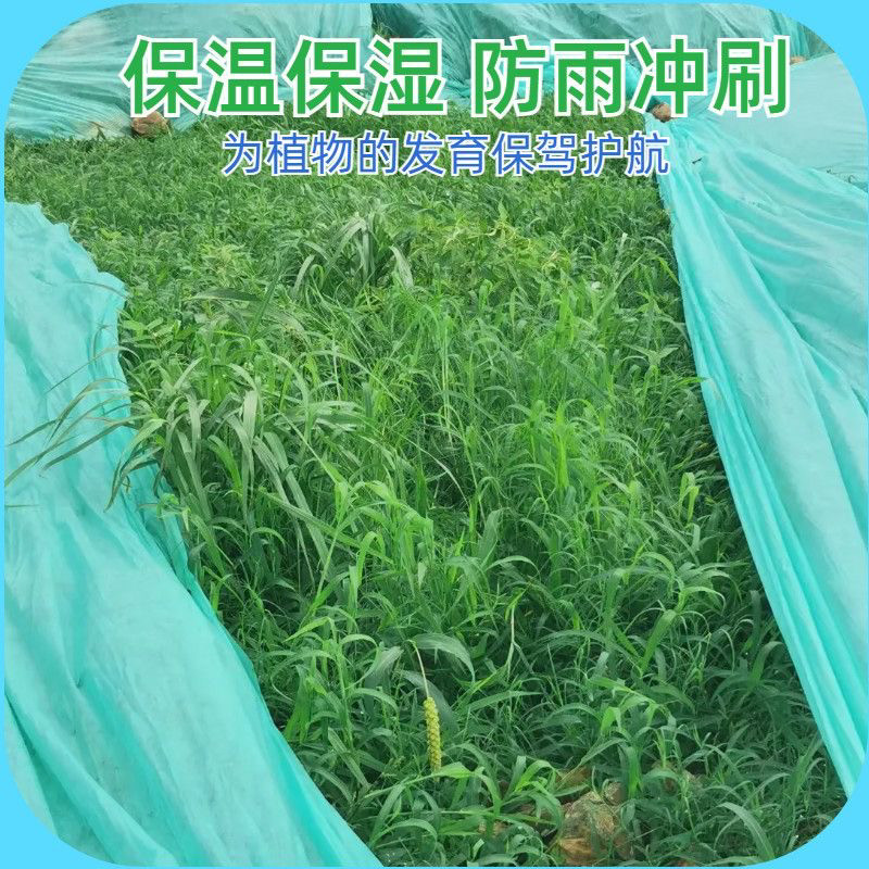 绿化无纺布绿色草坪保湿透气水稻育秧苗工地盖土护边坡草籽覆盖膜 - 图2
