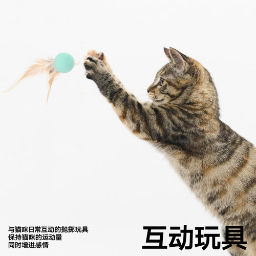 pidan猫玩具弹力球3只装跳跳球逗猫玩具猫狗自嗨解闷互动宠物用品 - 图2