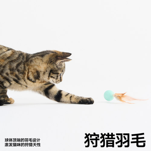 pidan猫玩具弹力球3只装跳跳球逗猫玩具猫狗自嗨解闷互动宠物用品 - 图1