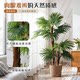 Simulated fantail sunflower high-end light luxury style artificial tree landscaping bionic green plant potted indoor living room decoration ornaments floor