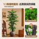 Simulated green plants welcome guests to the antique-style high-end living room in the pine