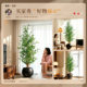 Simulated green plants, light luxury, high-end olive trees, fake tree potted plants