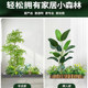 Simulated green plant landscaping combination nandina bamboo indoor porch under the stairs landscape decoration ornaments shopping mall window artificial tree