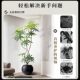 Peacock wood simulated green plants for high-end light luxury customers