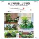 Simulated green plants and landscaping combinations, tropical plant partitions, flower troughs, flower boxes, bionic artificial flowers, indoor landscape decoration
