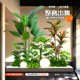 Simulated green plant combination landscaping under stairs