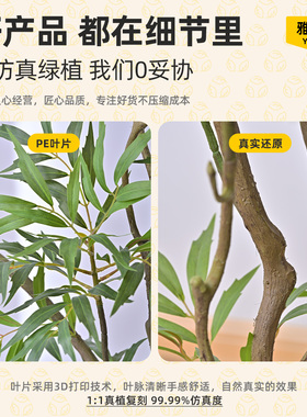 仿真植物十大功劳落地盆栽