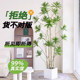 Lily Bamboo Simulated Green Plant Large Indoor