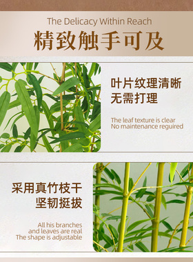 仿真竹子中古风装饰造景室内软装轻奢摆件绿植隔断屏风加密假植物