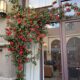 Simulated waterfall flower wall background wall rose vine women's clothing store front fake flower decoration internet celebrity photo check-in wall
