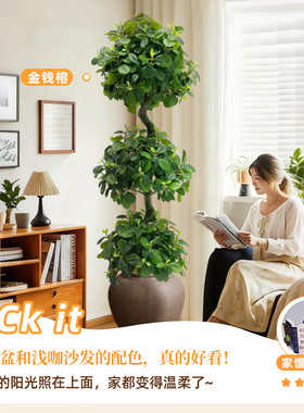 仿真球型绿植金钱榕高端轻奢