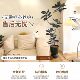 Simulated green plant high-end light luxury black diamond rubber tree