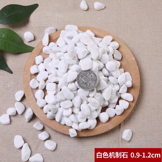 Potted white pebbles, large pebbles, courtyard paving, small white stones, landscaping, white pebbles