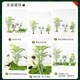 Simulated green plant landscaping combination courtyard cloth