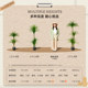 Pretend green plant decoration simulated dragon blood tree high-end light luxury