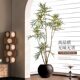 The top ten contributions of simulated green plant potted plants in indoor living rooms