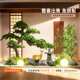 Simulated welcoming pine artificial tree pine under the large staircase