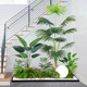 Simulated green plants, landscaping, potted plants, indoor decoration, bonsai showcases, window landscapes, porch layout, simulated trees under the stairs